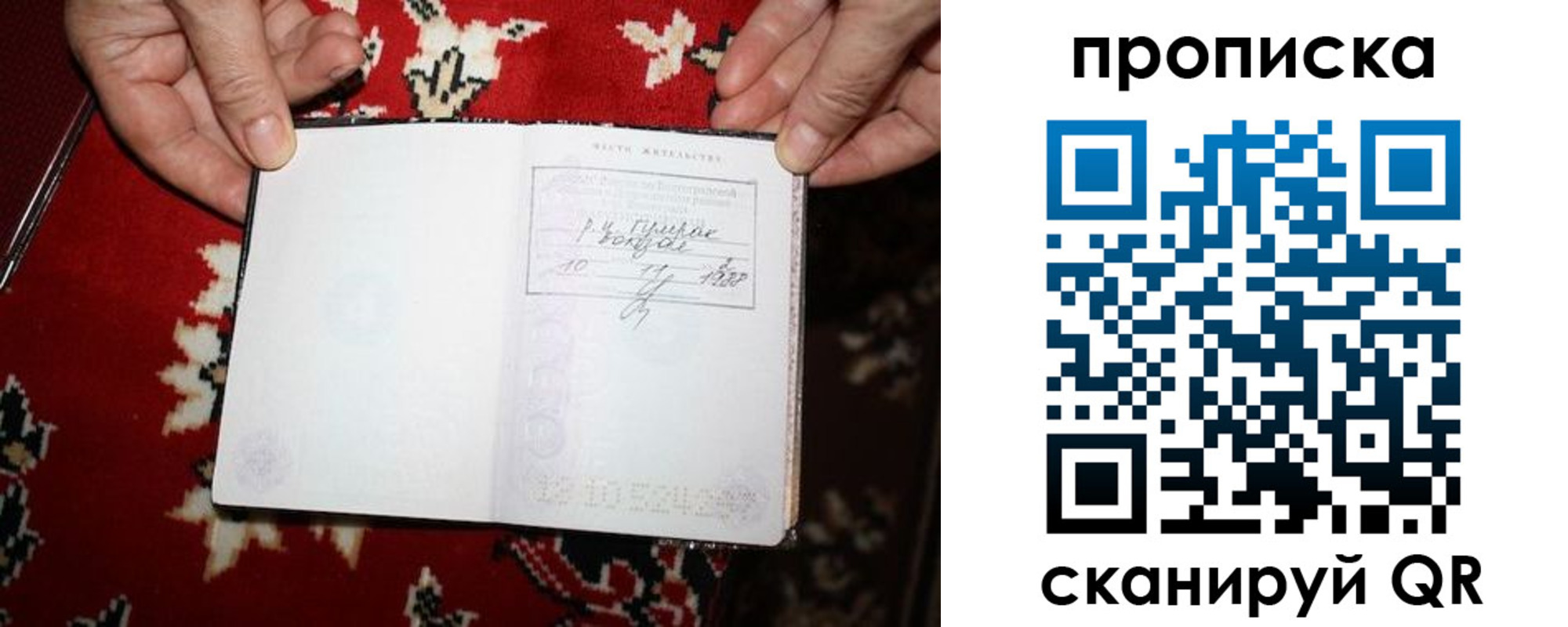 где прописаться в Лузе